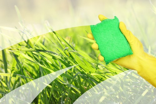 Professional carpet cleaning service for Treatham homes and businesses