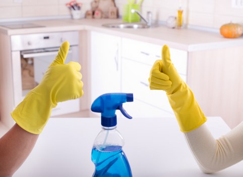 Cleaners Treatham team providing professional cleaning in a home environment