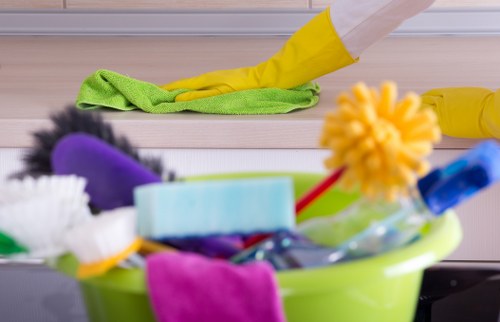 Regular domestic cleaning checklist and tidy Treatham living space