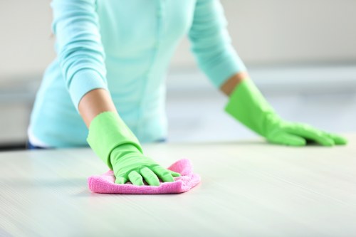 Local cleaner preparing a Treatham property for new occupants