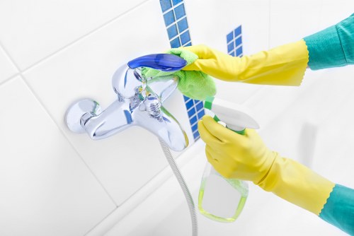 Professional cleaning for retail or workplace premises in Treatham
