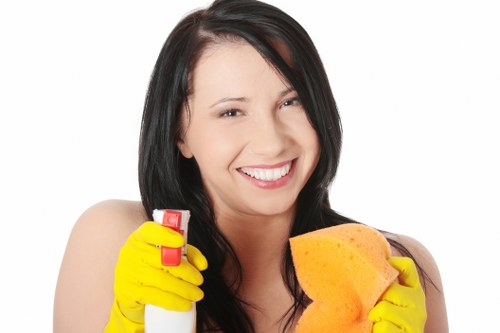 Keyboard navigation support for Cleaners Treatham website