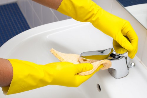 Deep cleaning support for homes and small businesses in Treatham