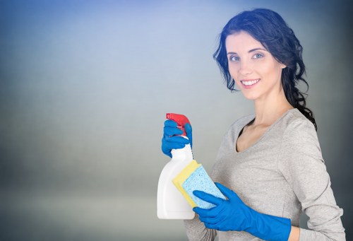 Professional window cleaner working on a Treatham residential home