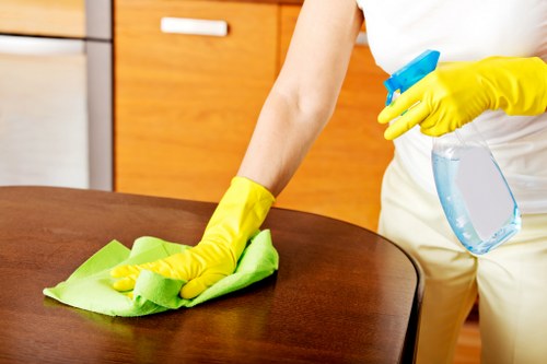 Local Treatham cleaner preparing a tidy and fresh home interior